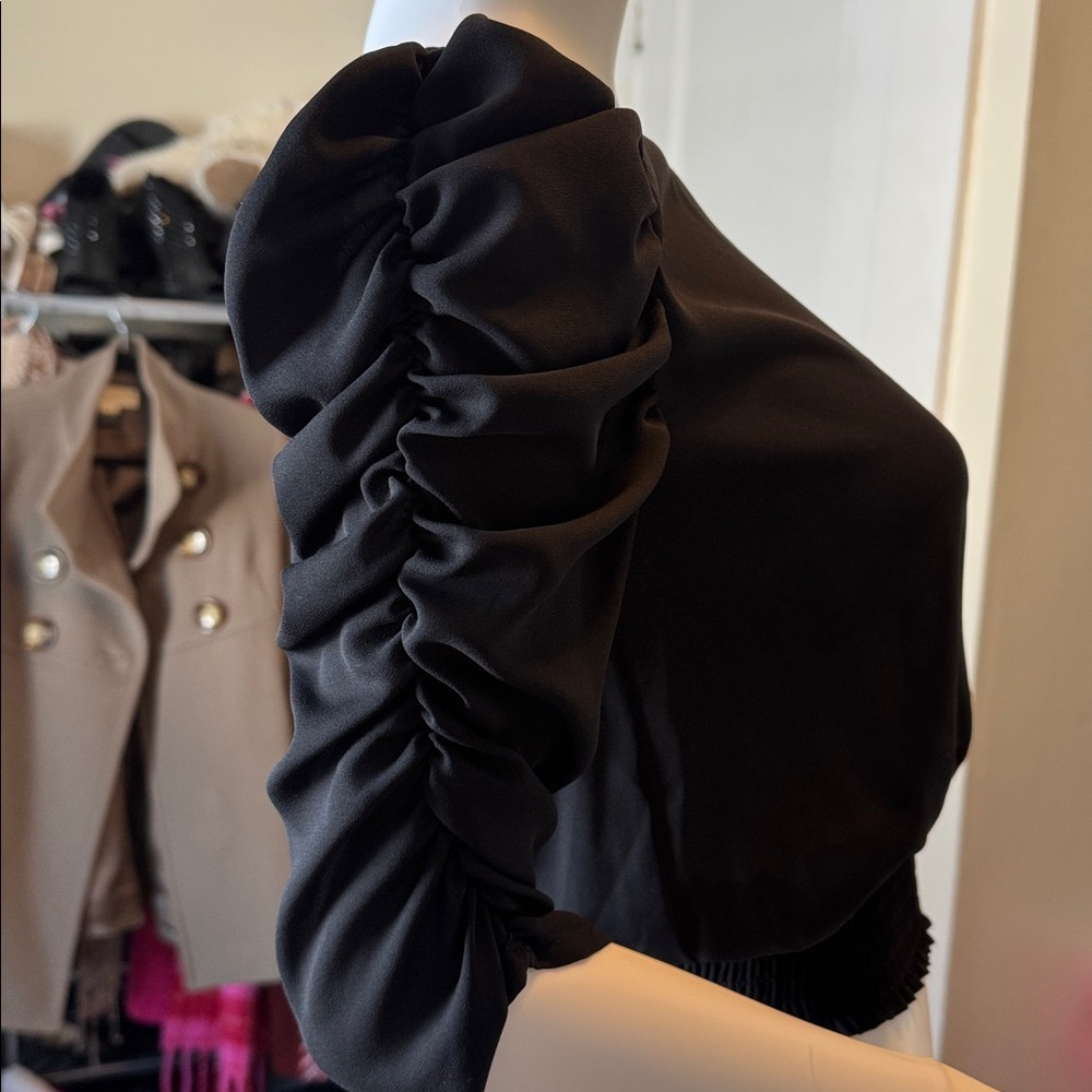 Express Elegant Black Ruffle Sleeve Blouse